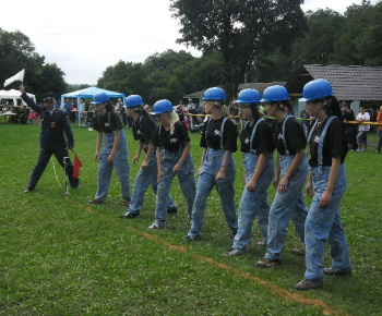 DHZ 2012