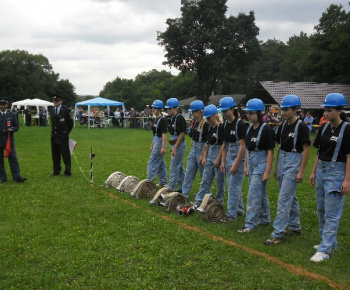 DHZ 2012